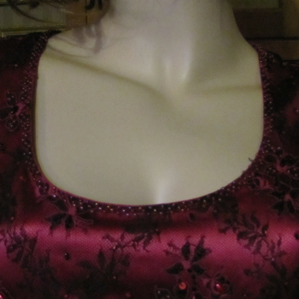 VotreNom Garnet Silk Beaded Lace Dress sz 1 (sz 4) - Picture 6 of 8
